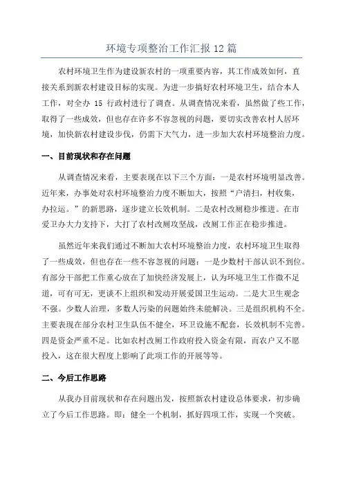 环境专项整治工作汇报12篇
