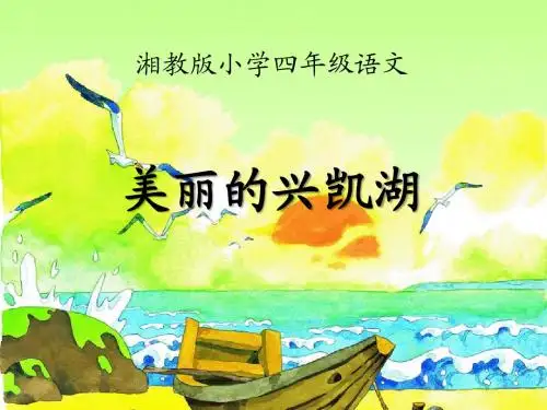 《美丽的兴凯湖》PPT优秀课件4