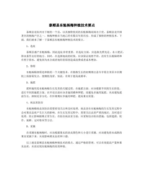 泰顺县东魁杨梅种植技术要点
