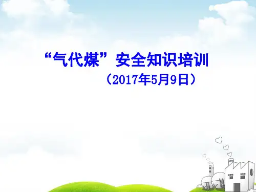 “气代煤”安全知识(PPT51页)