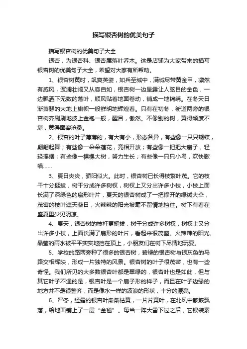 描写银杏树的优美句子