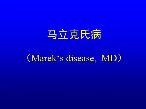 禽类传染病鸡马立克氏病