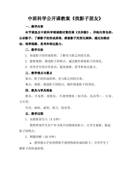 中班科学公开课教案《找影子朋友》