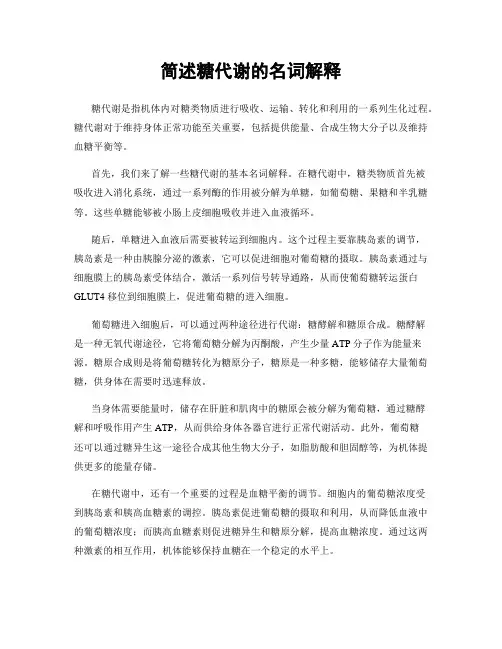 简述糖代谢的名词解释