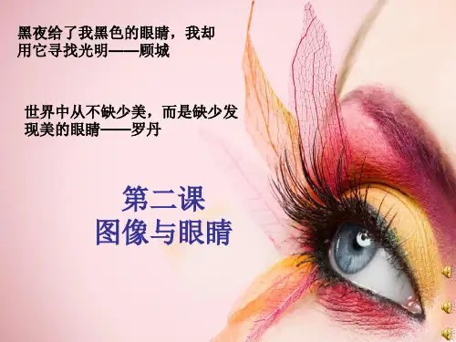 【高中美术课件】第二课 图像与眼睛