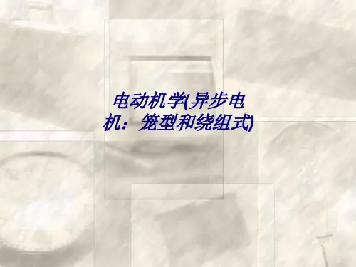 电动机学(异步电机：笼型和绕组式)专题培训课件