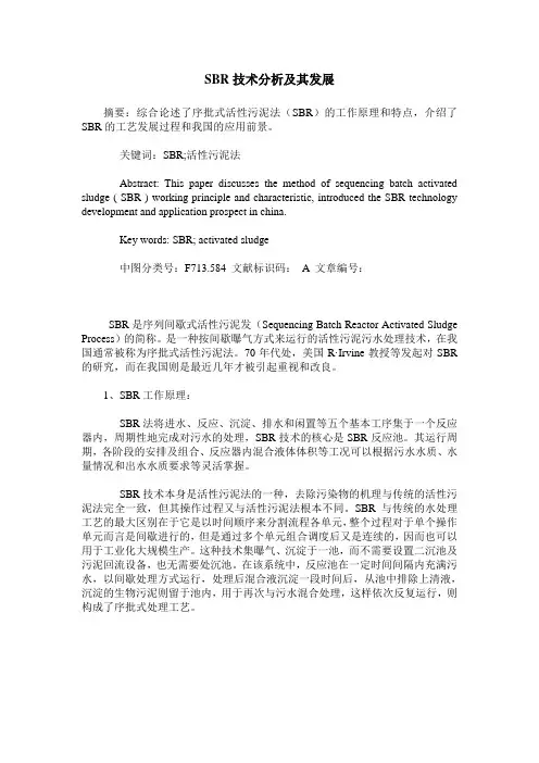 SBR技术分析及其发展
