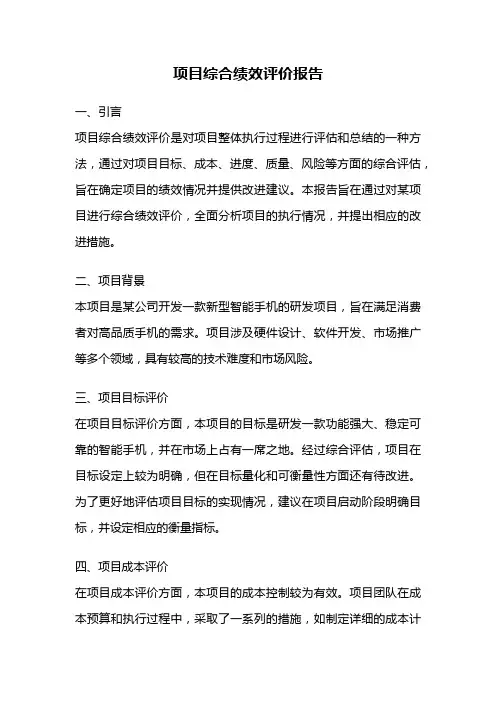 项目综合绩效评价报告