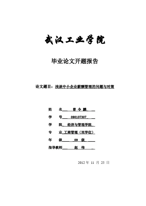 中小企业薪酬管理中的问题与对策毕业论文开题报告