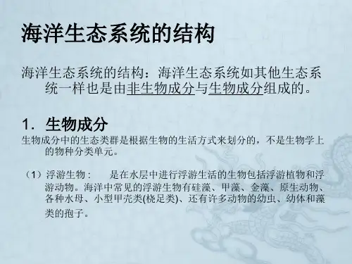 海洋生态系统