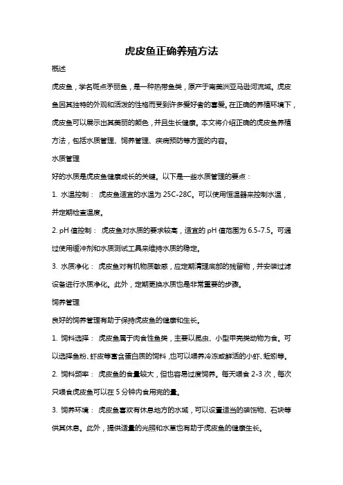 虎皮鱼正确养殖方法