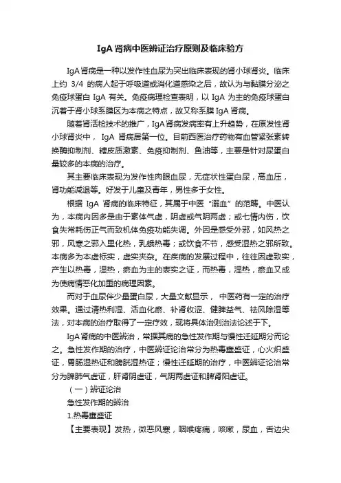IgA肾病中医辨证治疗原则及临床验方