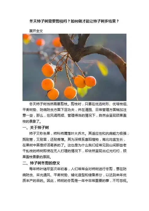 冬天柿子树需要剪枝吗？如何做才能让柿子树多结果？