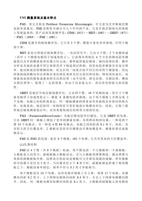 FMI测量原理及基本特点