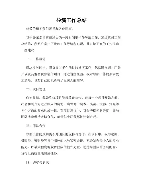 导演工作总结