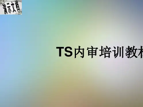 TS内审培训教材
