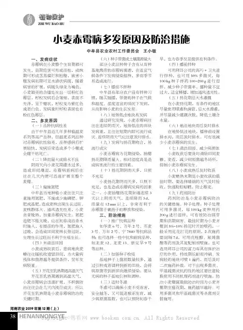 小麦赤霉病多发原因及防治措施