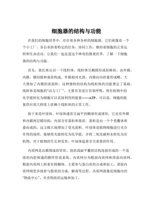 细胞器的结构与功能