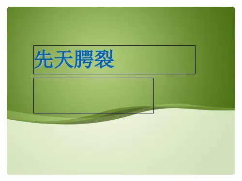 唇腭裂幻灯片课件