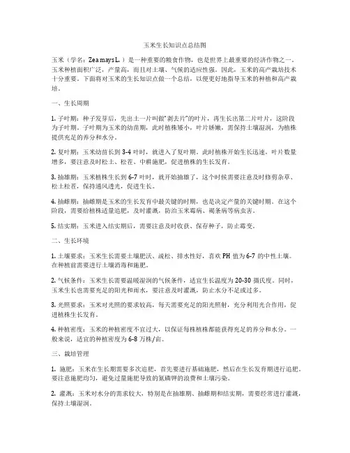 玉米生长知识点总结图