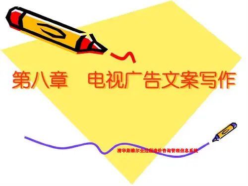 清华斯维尔全过程造价咨询管理信息系统