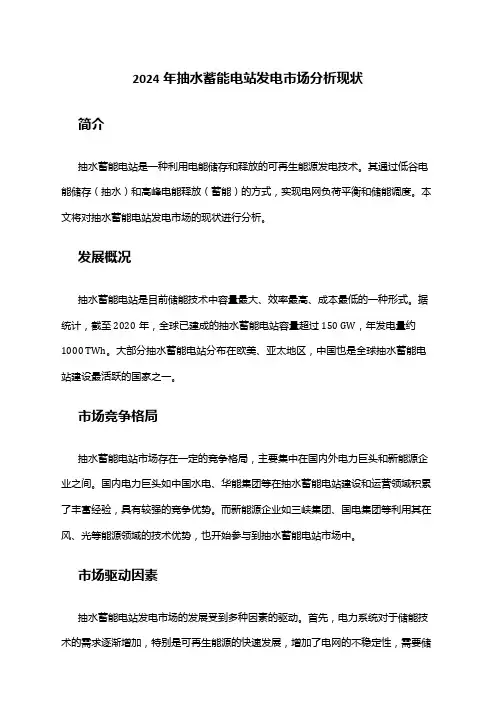 2024年抽水蓄能电站发电市场分析现状