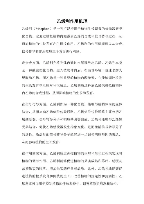 乙烯利作用机理