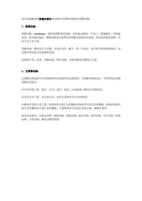 脊椎动物和无脊椎动物的概念