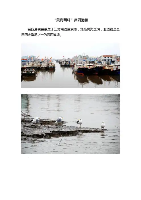 “黄海明珠”吕四港镇
