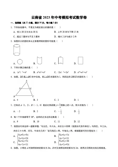 云南省2023年中考模拟考试数学卷(含解析)