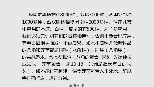 园林树木种类PPT课件