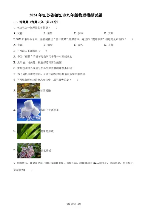  2024年江苏省镇江市扬中市九年级物理中考模拟试题 