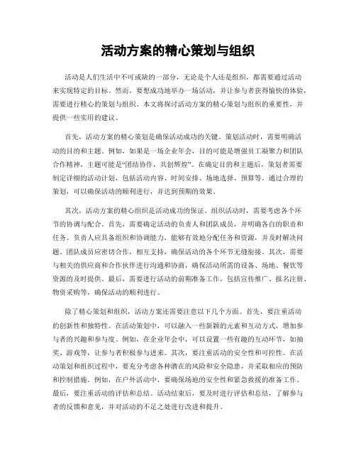 活动方案的精心策划与组织