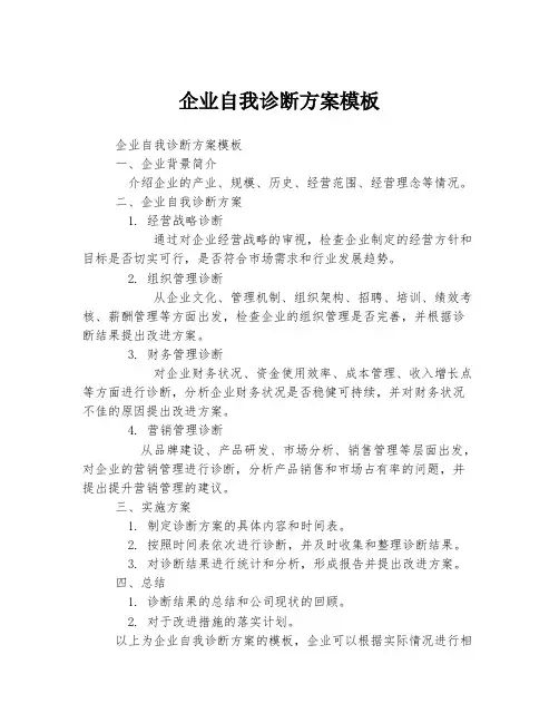 企业自我诊断方案模板