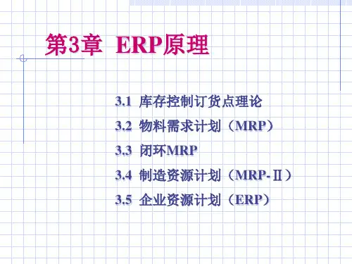 ERP原理基本知识.pptx
