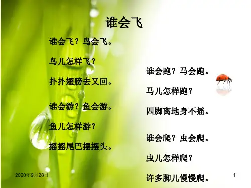 儿童诗《谁会飞》PPT课件