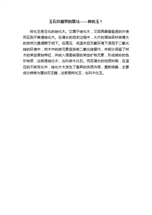 玉石珍藏界的黑马——树化玉！