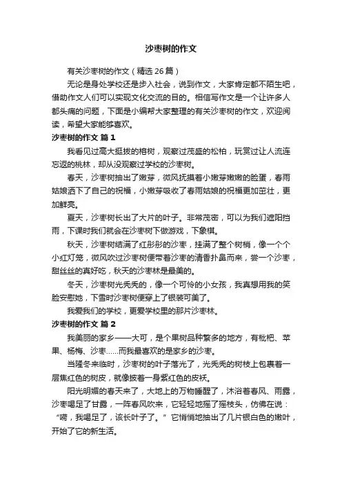 沙枣树的作文