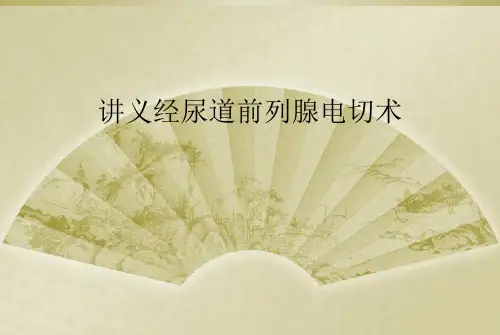 讲义经尿道前列腺电切术