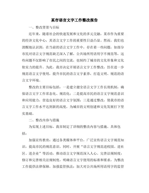 某市语言文字工作整改报告