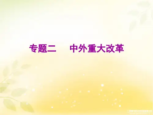 2020广东中考历史二轮专题复习课件：中外重大改革 (共26张PPT)