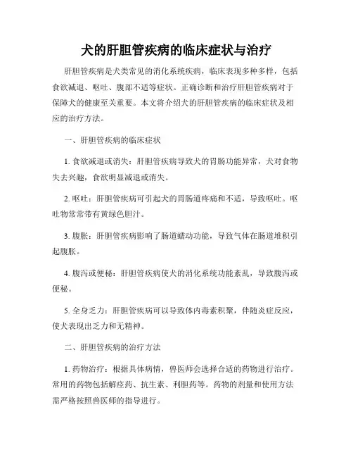 犬的肝胆管疾病的临床症状与治疗