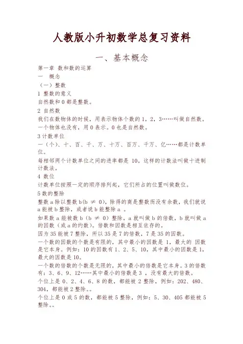 人教版小升初数学总复习资料