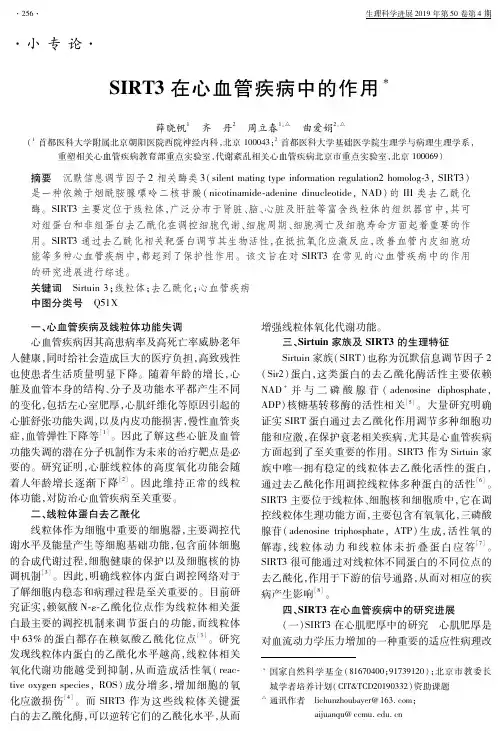 SIRT3在心血管疾病中的作用