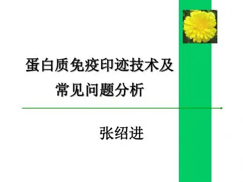 Western_Blot专题