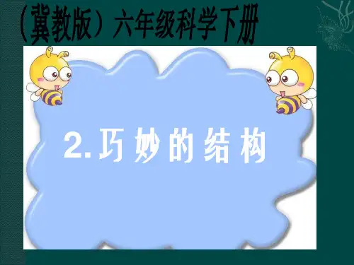 六年级下科学优秀课件-2 巧妙的结构   ｜冀教版 (29页PPT)