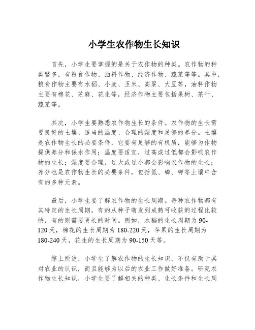 小学生农作物生长知识