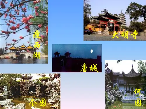 北师大版扇形统计图教学PPT课件