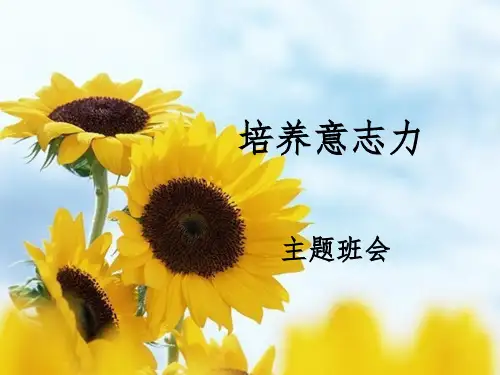 培养意志力主题班会完整ppt课件