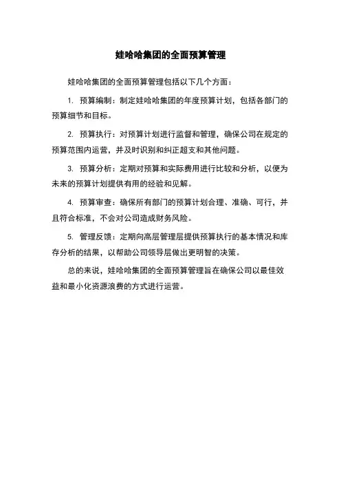 娃哈哈集团的全面预算管理